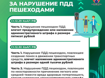Медиапроект_Пешеходы_10 (6)
