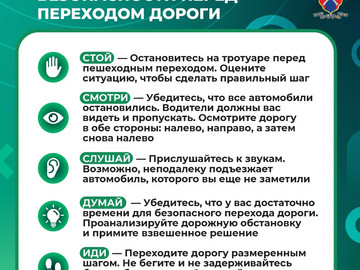 Медиапроект_Пешеходы_11 (5)