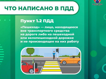 Медиапроект_Пешеходы_2 (4)